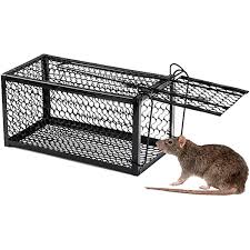 JAULA TRAMPA PARA RATON GRANDE