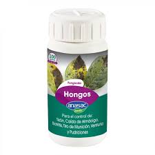 FUNGICIDA HONGOS 100GR