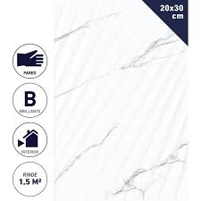 CERAMICA MURO MARMOL BARCA BRILLANTE 20X30 1,5M2