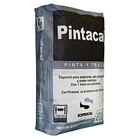 PINTA CAL 25KG